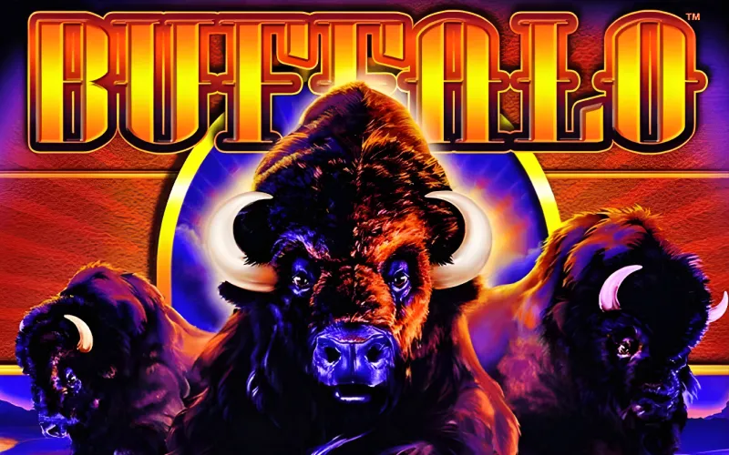 Speel Buffalo van Booming Games in Lalabet Casino, een cultfavoriet spel met spannende uitbetalingsmogelijkheden.